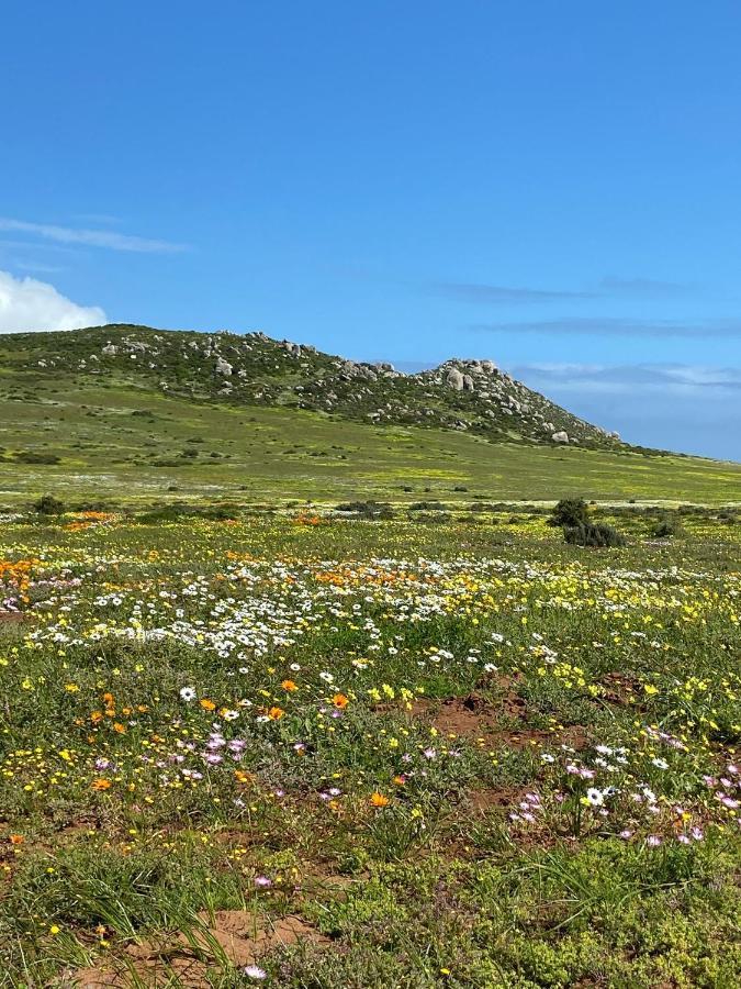 Studio On Fairway لانجيبان المظهر الخارجي الصورة